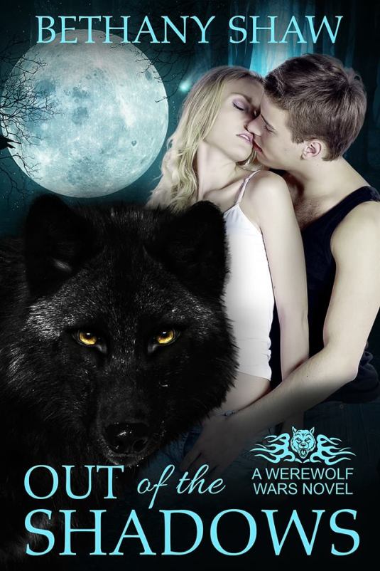 large Out of the shadows cover bethany shaw